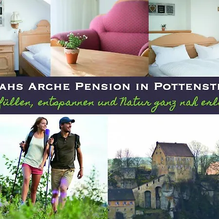 招待所 Noahs Arche